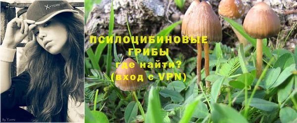 твердый Аркадак