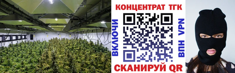 купить  цена  Пыталово  Дистиллят ТГК жижа 