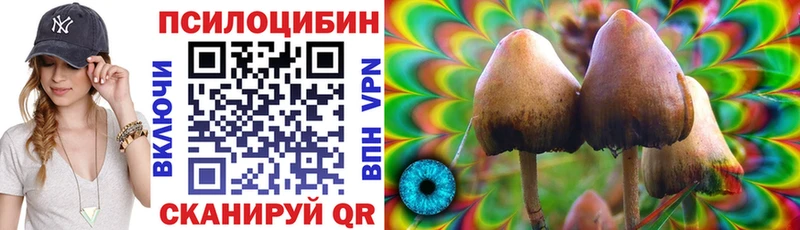 Псилоцибиновые грибы GOLDEN TEACHER  МЕГА ONION  Пыталово 